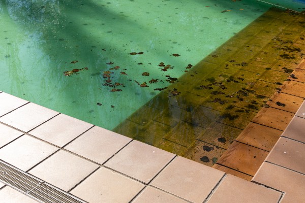 limpieza de piscinas